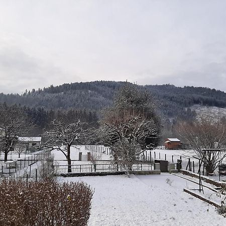 Chez Vovone 3 Etoiles Clevacances Saulxures-sur-Moselotte Exterior foto