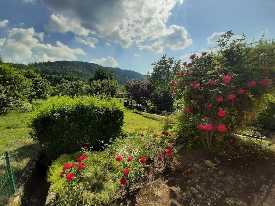 Chez Vovone 3 Etoiles Clevacances Saulxures-sur-Moselotte Exterior foto
