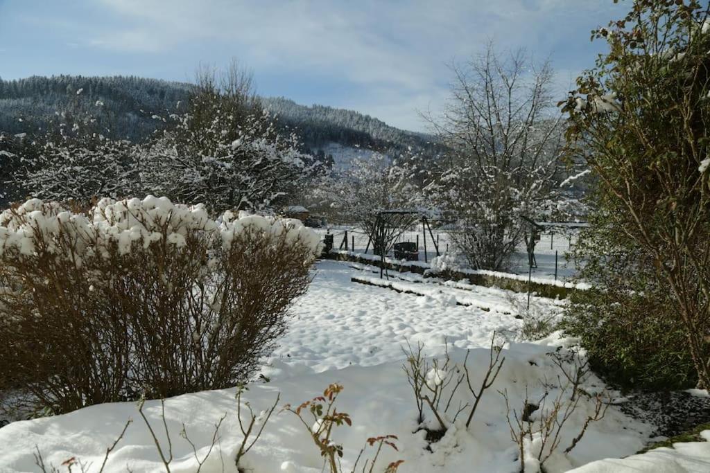 Chez Vovone 3 Etoiles Clevacances Saulxures-sur-Moselotte Exterior foto