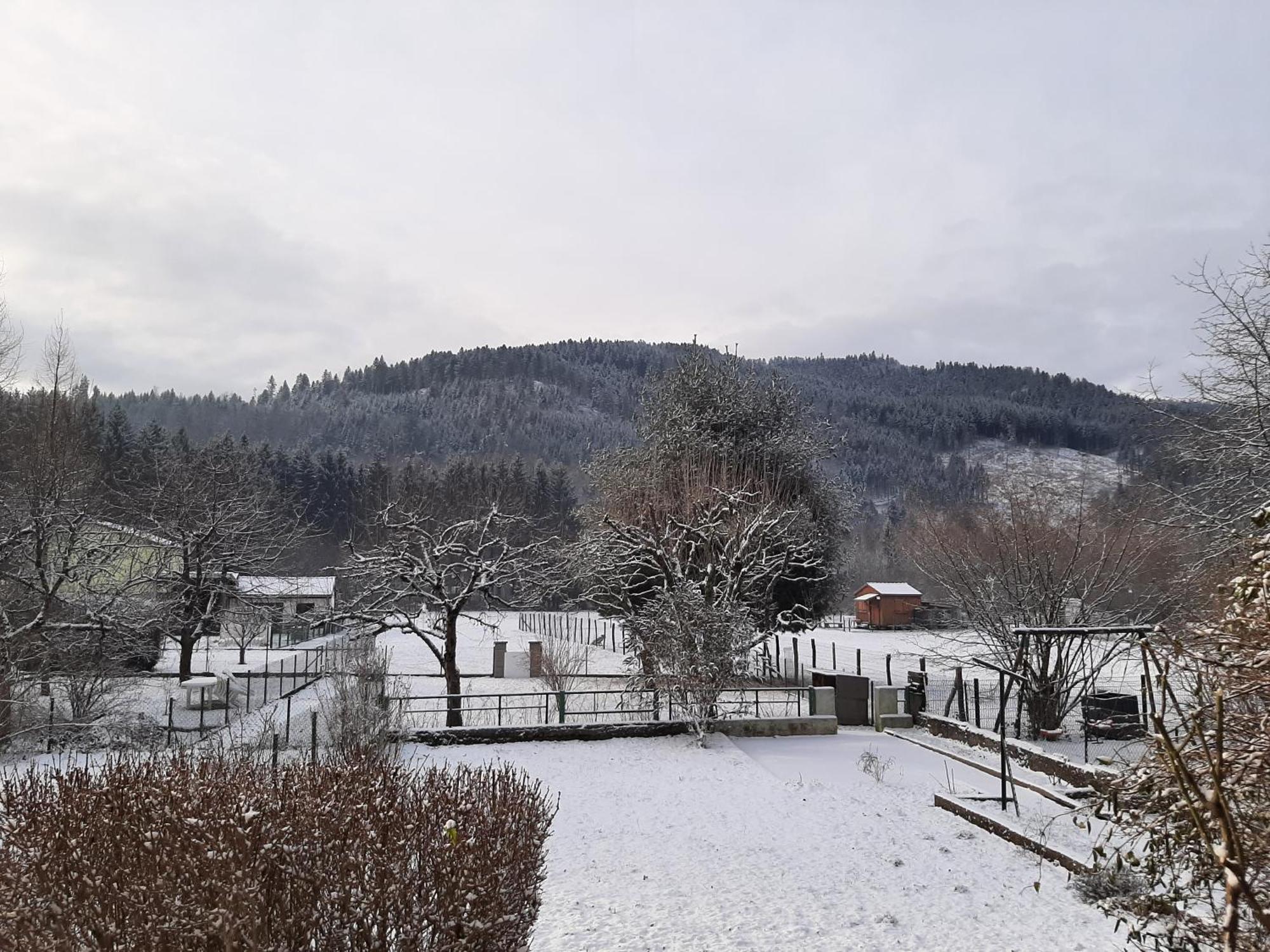 Chez Vovone 3 Etoiles Clevacances Saulxures-sur-Moselotte Exterior foto